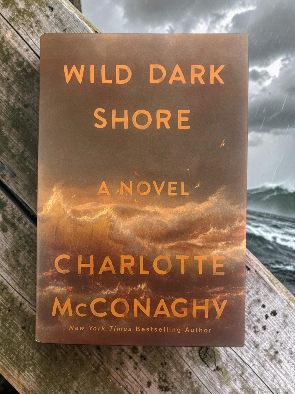 Wild Dark Shore by Charlotte McConaghy
